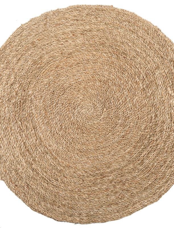 503812_a.jpeg