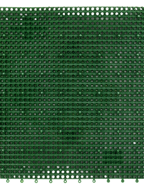 294043_a.jpeg