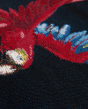 509039_b.jpeg