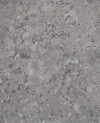 115019_b.jpeg