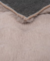 508050_b.jpeg