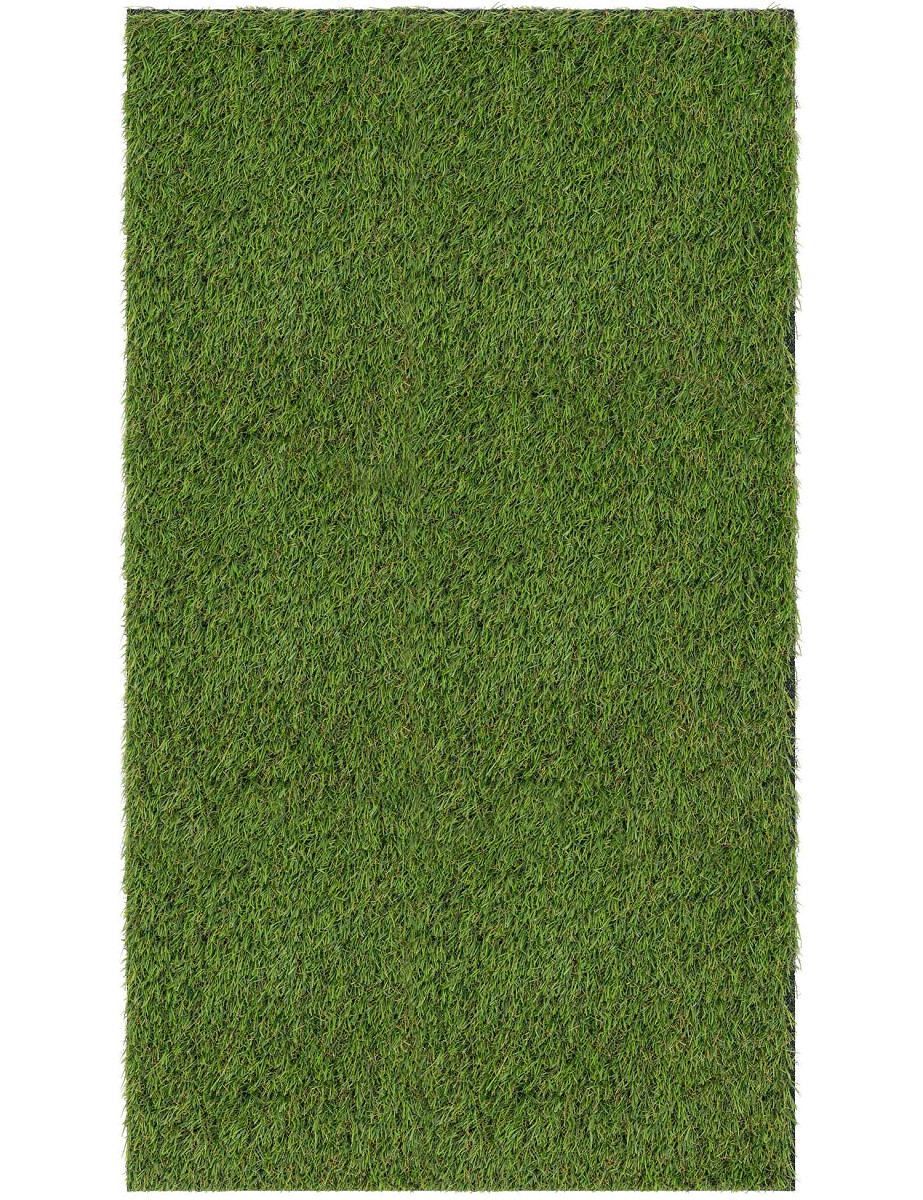 Dywan Sztuczna Trawa Serano Kolor: Zielony, Kształt: Prostokątny, Prostokątny: 100×300 cm