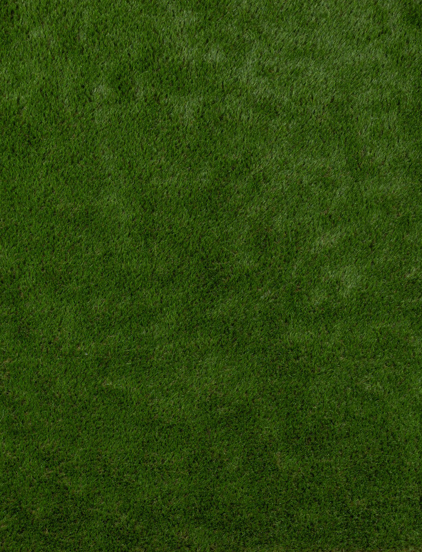 114562_b.jpeg