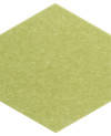 400815_a.jpeg