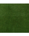 114571_b.jpeg
