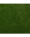 114561_b.jpeg
