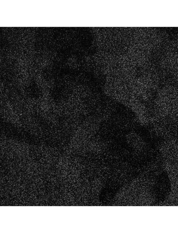 114558_a.jpeg