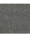 100008_a.jpeg