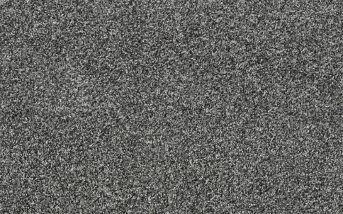 100008_a.jpeg