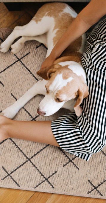 Chodnik Freya beżowy.jpeg