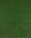 420297_a.jpeg