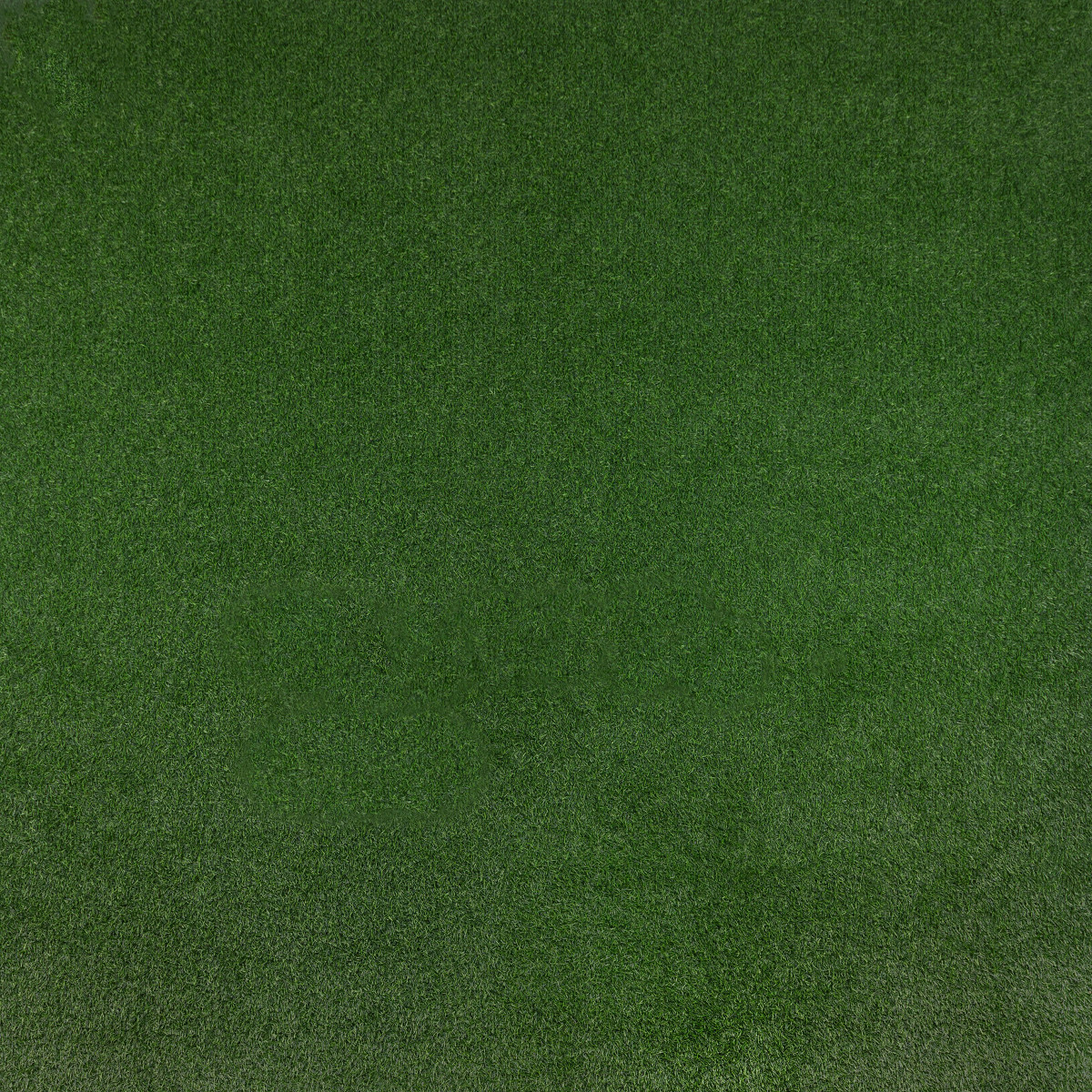 Kształt: Prostokątny, Prostokątny: 200x500 cm, Kolor: Zielony