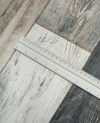 115004_f.jpeg