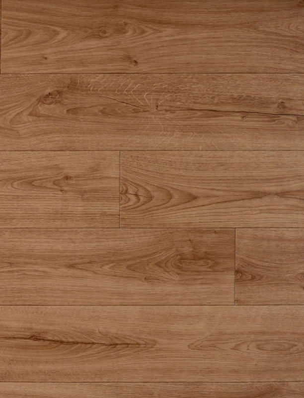313167_b.jpeg