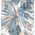 Dywan Summer tropical Kształt: Prostokątny, Prostokątny: 80x150 cm, Kolor: Szary