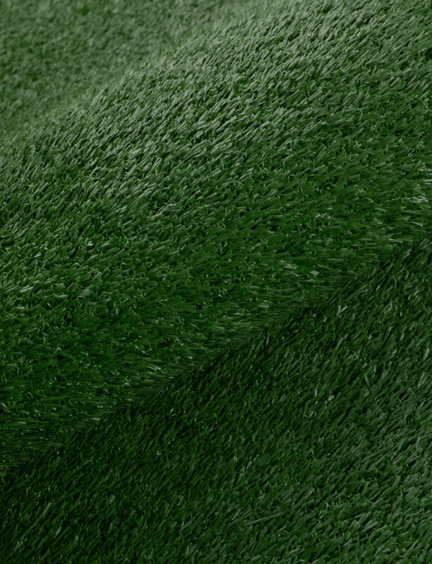 200551_e.jpeg