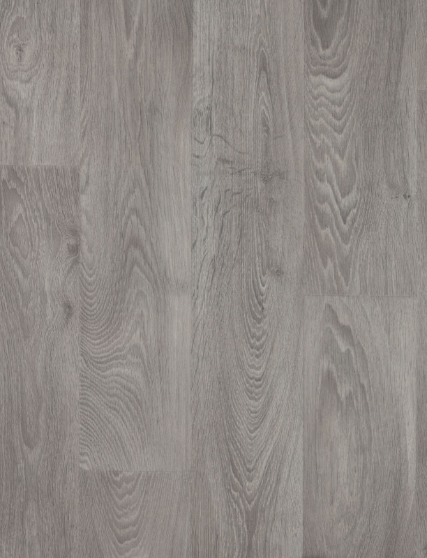 308041_a.jpeg