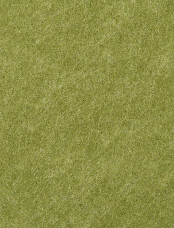 400833_g.jpeg