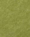 400833_g.jpeg