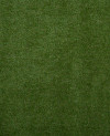 200395_b.jpeg