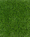 114535_a.jpeg