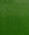 200554_b.jpeg