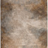 Dywan Country przecierka  Kształt: Prostokątny, Prostokątny: 200x290 cm, Kolor: Beżowy