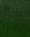 200551_b.jpeg