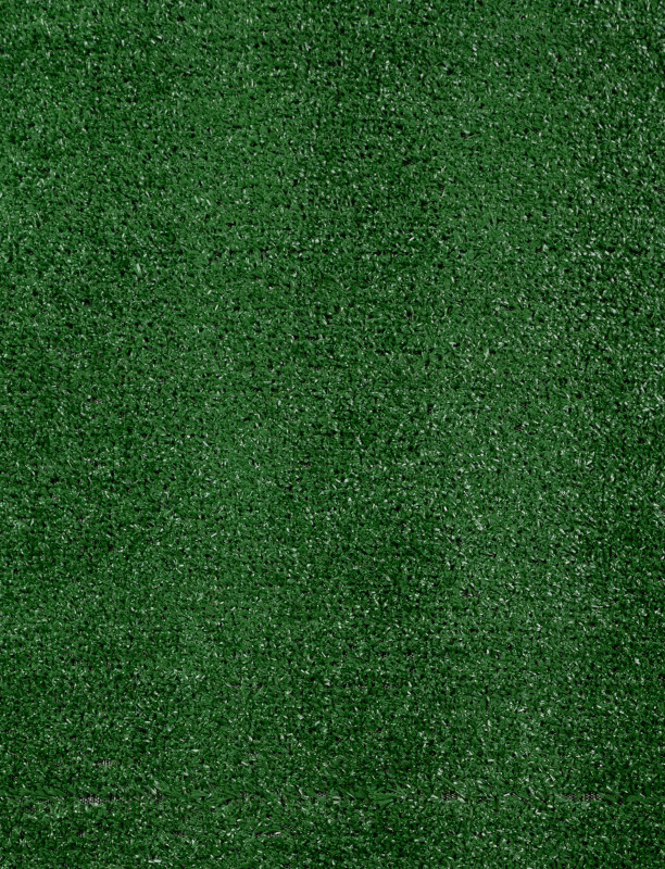 200564_a.jpeg