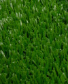 200554_i.jpeg