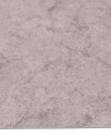 301210_d.jpeg