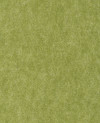400821_e.jpeg