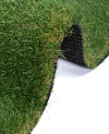 114572_f.jpeg