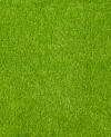 142094_a.jpeg