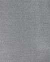 101131_b.jpeg
