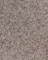 100025_b.jpeg
