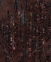 510110_f.jpeg