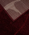 509737_c.jpeg